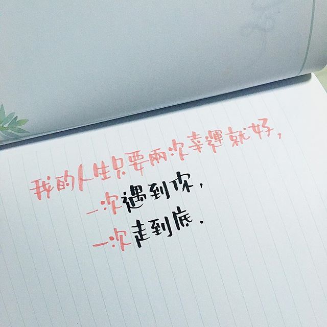 25026407_736322383232078_8100132527244574720_n